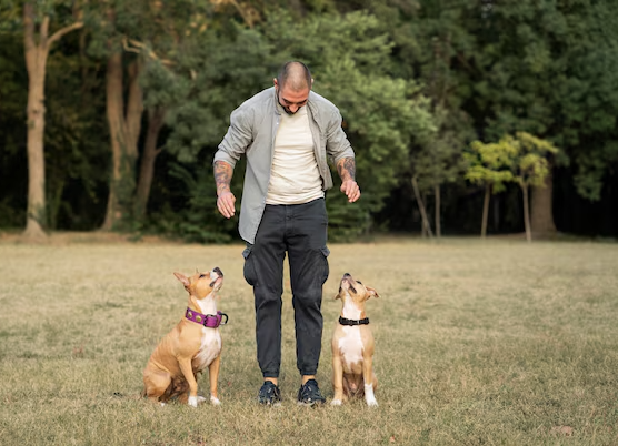 <em>Javier M.</em>